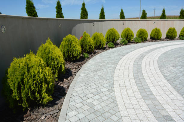 Best Affordable Driveway Pavers  in Mountain View Acres, CA
